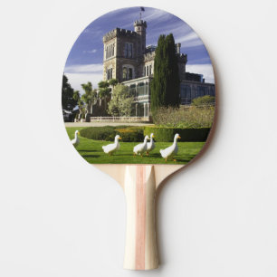 Pala De Ping Pong Castillo Larnach, Península de Otago, Dunedin,