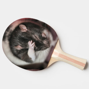 Pala De Ping Pong Cefalea