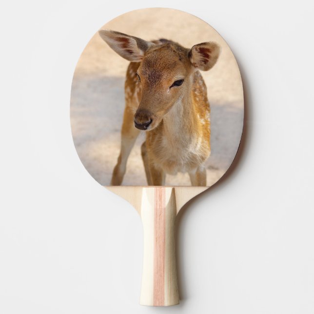 Pala De Ping Pong Cervatillo (Anverso)