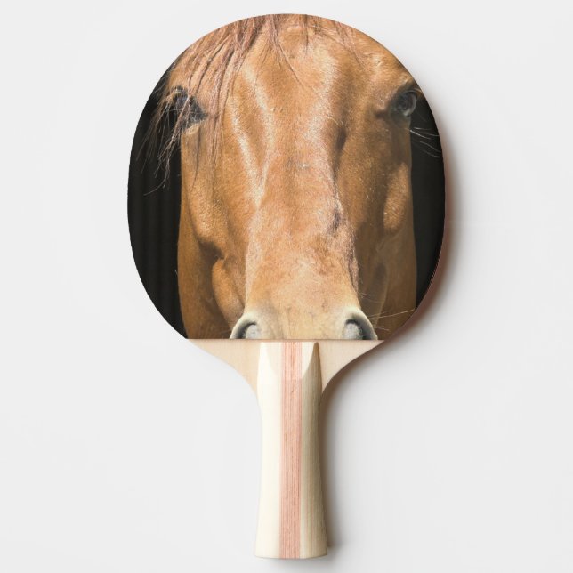 Pala De Ping Pong chestnut-horse-4 (Anverso)