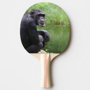 Pala De Ping Pong Chimpancé tonto