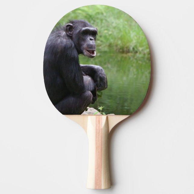 Pala De Ping Pong Chimpancé tonto (Anverso)