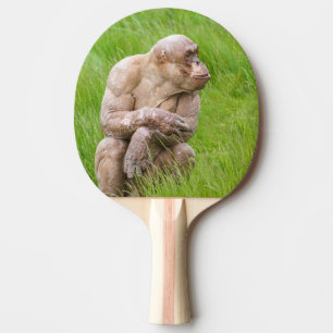 Pala De Ping Pong Chimpanzee sin pelo