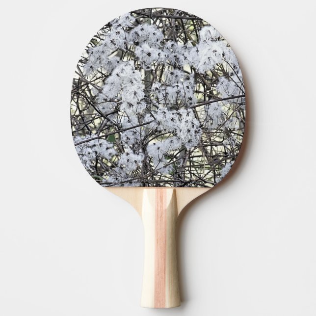 PALA DE PING PONG CLEMATIS SILVESTRE    (Anverso)