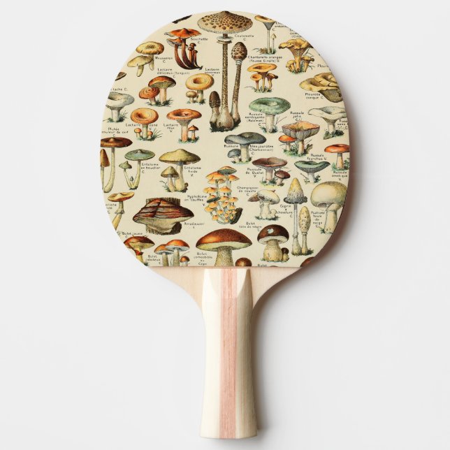Pala De Ping Pong Colección de hongos   (Anverso)
