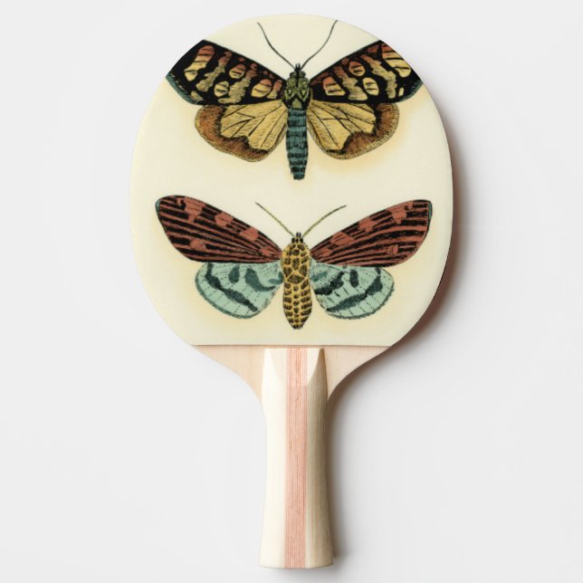 Pala De Ping Pong Colección de la mariposa de Chariklia Zarris (Anverso)