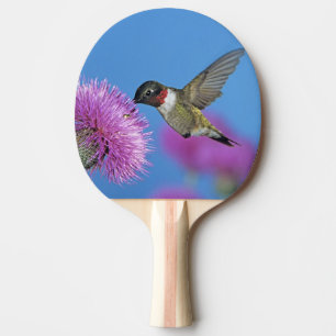 Pala De Ping Pong Colibrí de garganta rubí