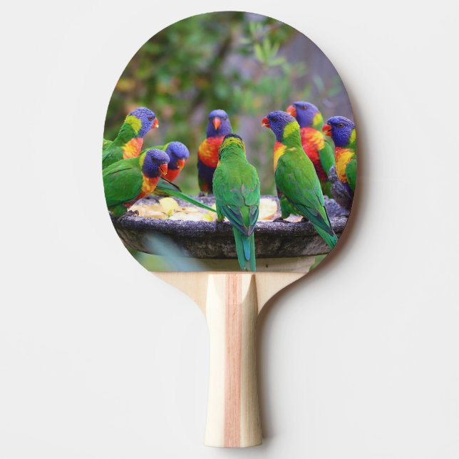 Pala De Ping Pong Coloridos loros arcoiris comiendo (Anverso)