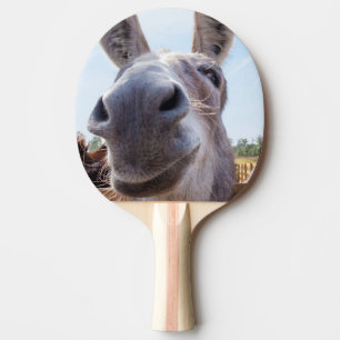 Pala De Ping Pong Cómico burro sonriente gris