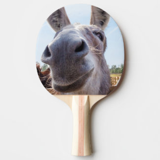 Pala De Ping Pong Cómico burro sonriente gris