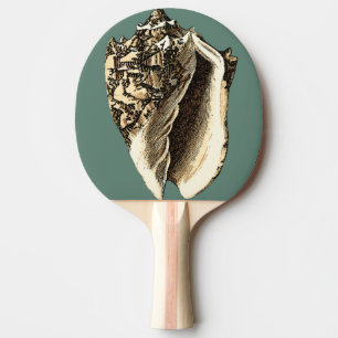 Pala De Ping Pong Concha verde azulada Shell