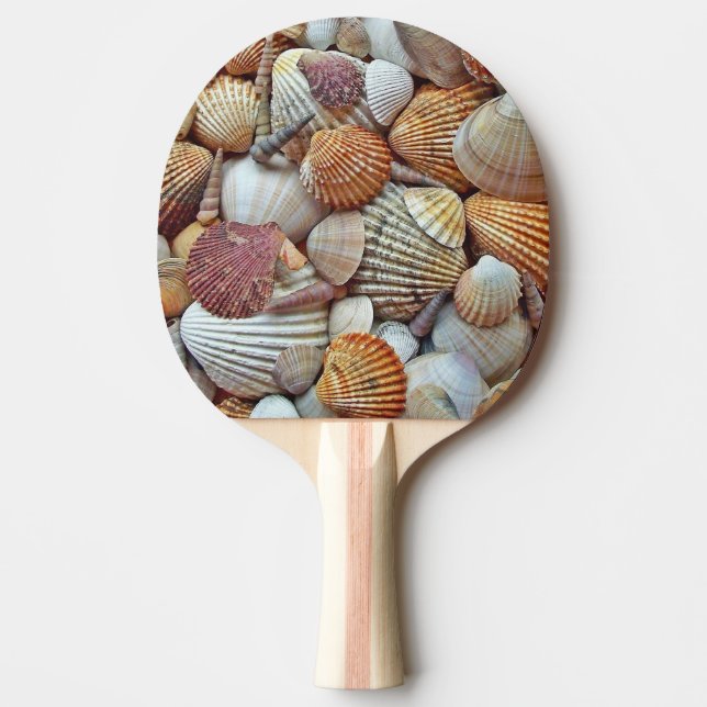 Pala De Ping Pong Conchas de mar (Anverso)