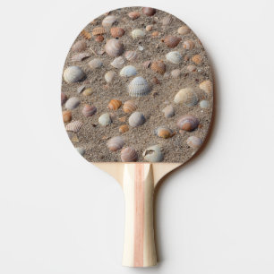 Pala De Ping Pong conchas marinas en la playa