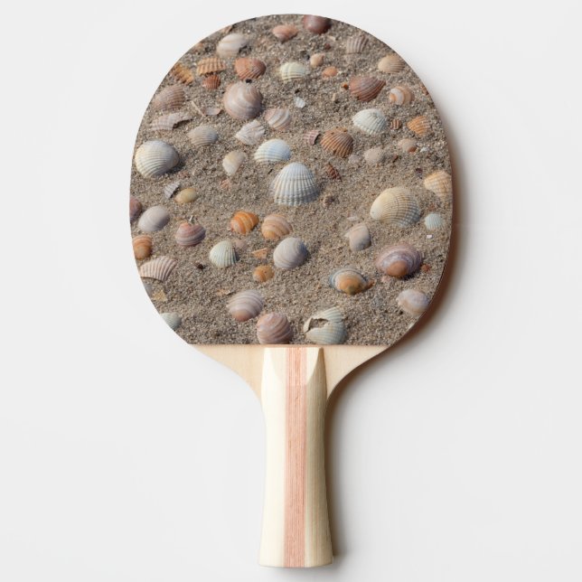 Pala De Ping Pong conchas marinas en la playa (Reverso)