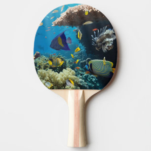 Pala De Ping Pong Coral y pescados en el Mar Rojo, Egipto