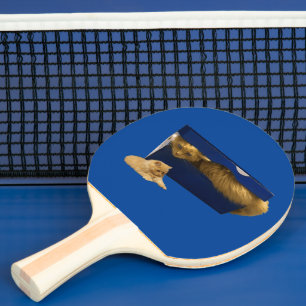 Pala De Ping Pong "Cosy Hideaway: El gato jengibre en la caja de zap