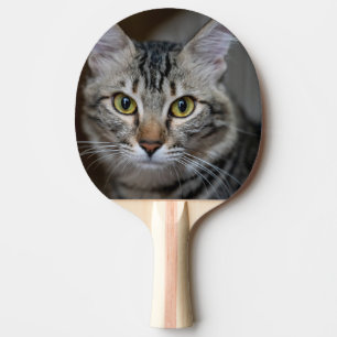 Pala De Ping Pong Crea Tu Propia Foto Personalizada de tu Gato Masco