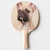 Crea tu propia foto personalizada de tu mascota