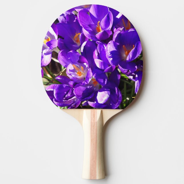 PALA DE PING PONG CROCUS DE PRIMAVERA (Anverso)