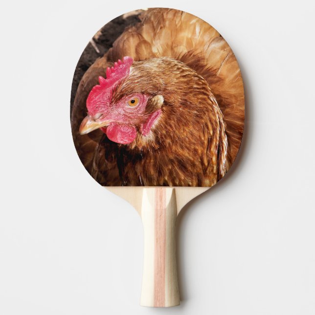 PALA DE PING PONG CUTE CHICKEN (Anverso)
