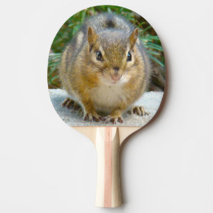 Pala De Ping Pong Cute Chipmunk Tiene La Vista En Ti