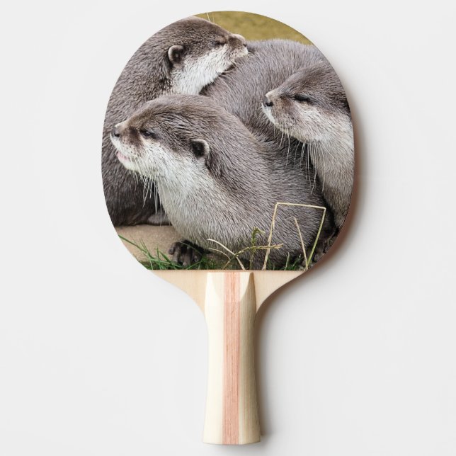PALA DE PING PONG CUTE OTTERS (Anverso)
