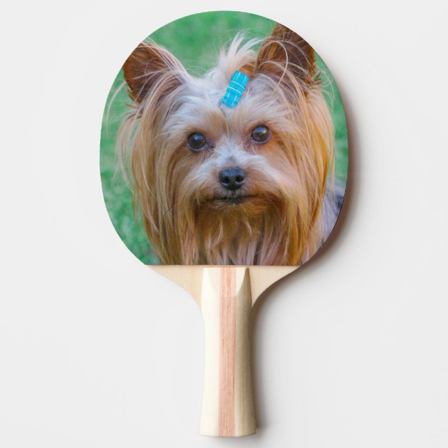 Pala De Ping Pong Cute Yorkshire Terrier Dog Head (Anverso)