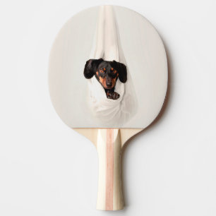 Pala De Ping Pong Dachshund cachorro en un perro adorable de hamaca