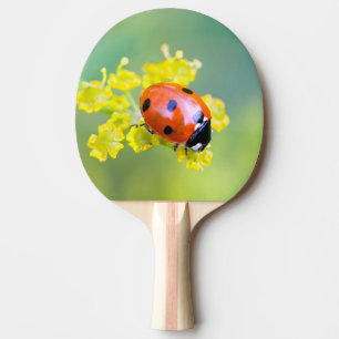 Pala De Ping Pong dama encima