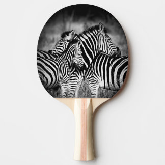 Pala De Ping Pong Dazzle de cebra
