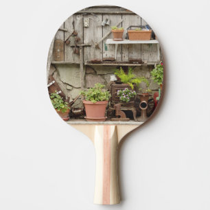 Pala De Ping Pong Decoraciones en cerca de madera, Isla Catalina,