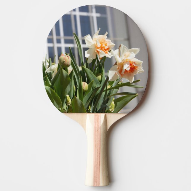 Pala De Ping Pong Delicada primavera de daffodils tiernos (Anverso)