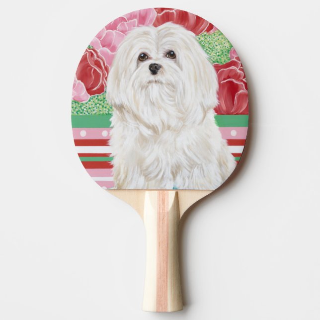 Pala De Ping Pong Della Rosa Maltese (Anverso)