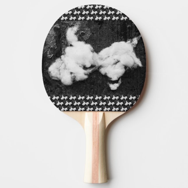 Pala De Ping Pong deslizar (Anverso)