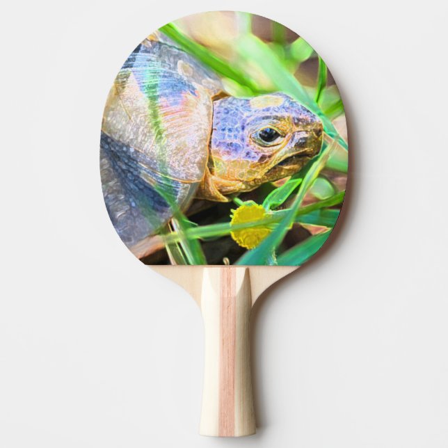 Pala De Ping Pong Detalles de la tortuga de barro artificial en Sudá (Anverso)