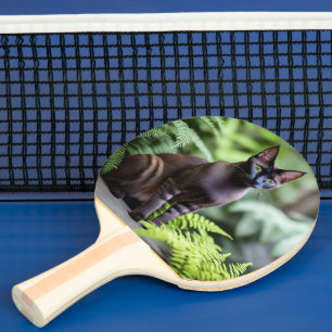Pala De Ping Pong Dexter El Gato Siamés Negro, Ping Pong Paddle