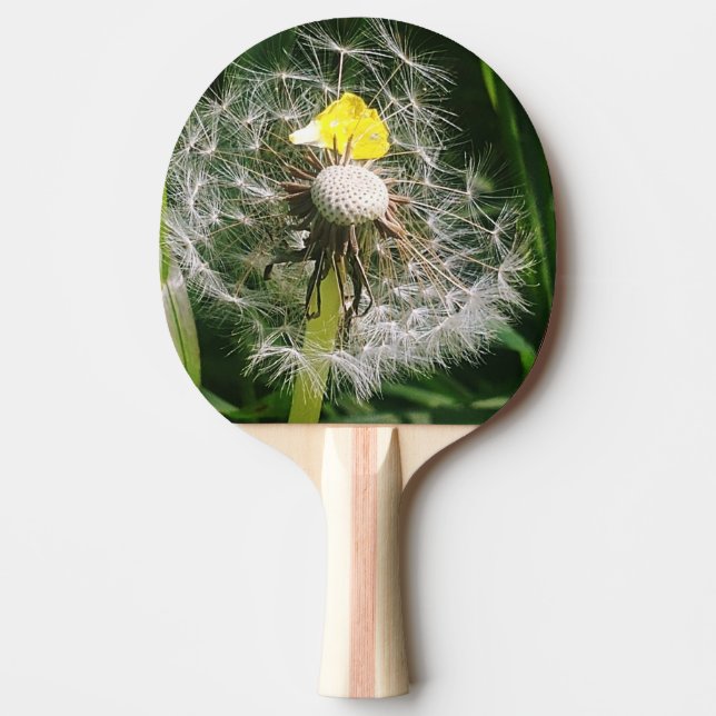 Pala De Ping Pong Diardelio cutáneo (Anverso)