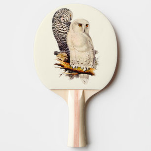Pala De Ping Pong Dibujo de lechuza veneciana