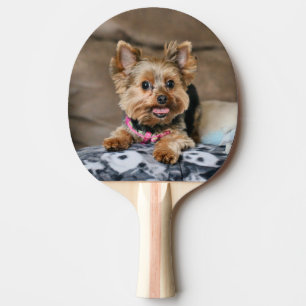 Pala De Ping Pong Díntimo dinamo