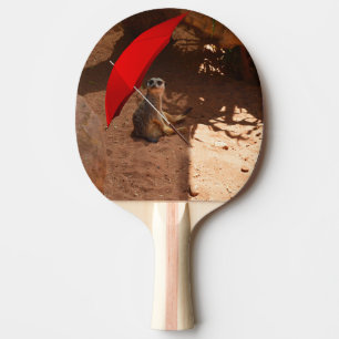Pala De Ping Pong Divertido Meerkat Sentado Bajo El Paraguas,