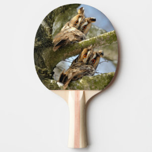Pala De Ping Pong Dos búhos en el bosque, pájaros, ping pong de faun