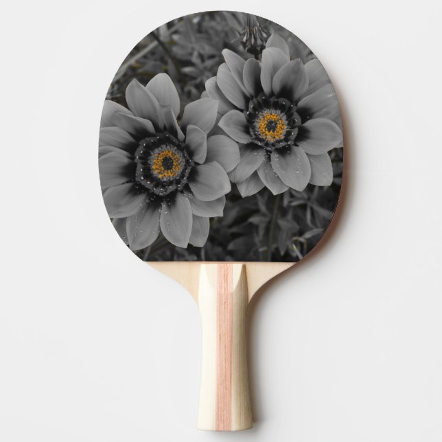 Pala De Ping Pong Dos de la misma clase (Anverso)