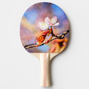 Pala De Ping Pong Dos Flores Asombrosas De Sakura. Fondo rosa y azul