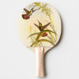 Pala De Ping Pong Dos Hummingbirds coloridos que buscan la misma flo