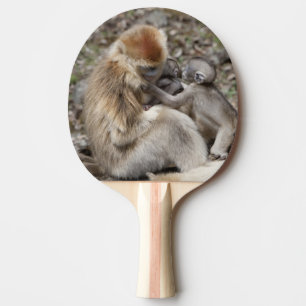 Pala De Ping Pong Dos monas doradas hembras con recién nacidos