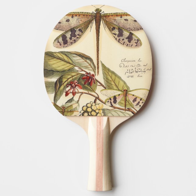 Pala De Ping Pong Dragonflies con hojas y fruta (Anverso)