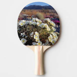 Pala De Ping Pong EE. UU., California, Anza-Borrego DSP. Duna noctur