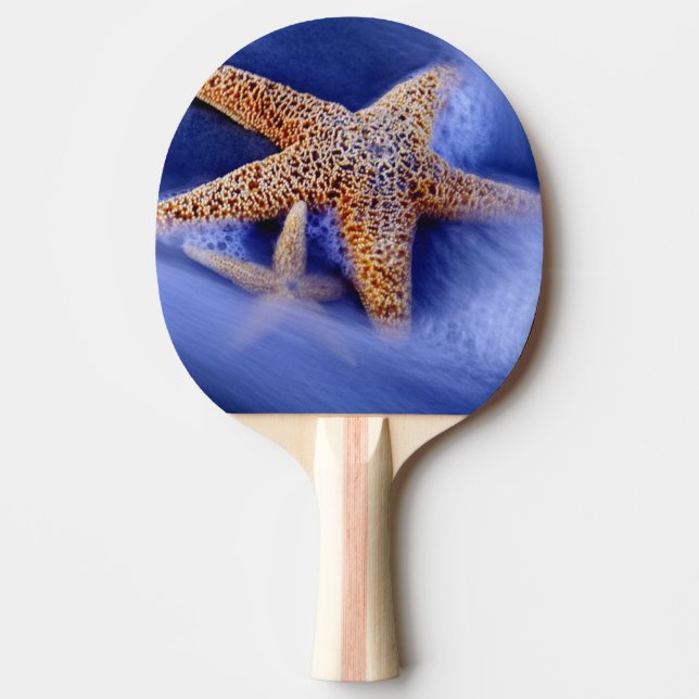 Pala De Ping Pong EE. UU., Carolina del Sur, Isla Hilton Head. Dos (Anverso)