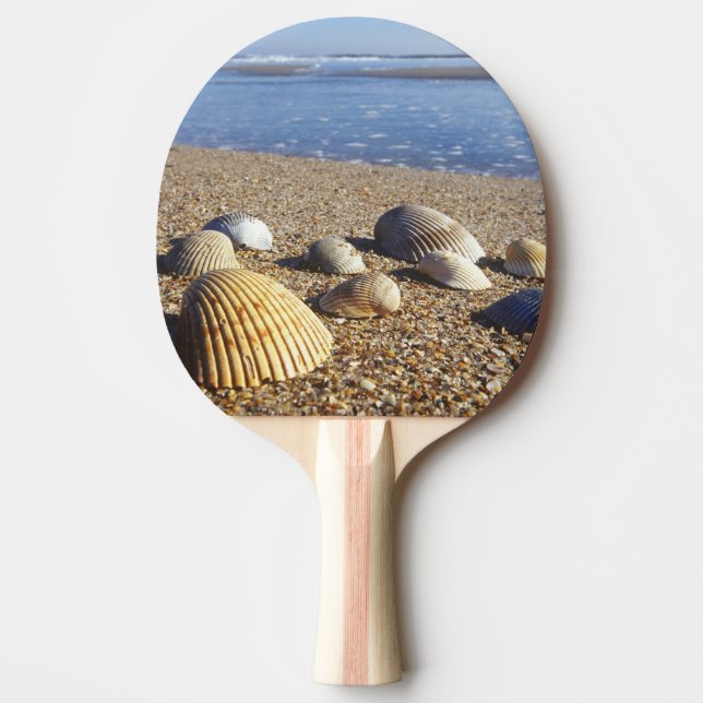 Pala De Ping Pong EE. UU., Florida, conchas marinas costeras (Anverso)