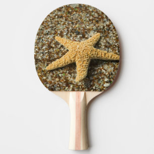 Pala De Ping Pong EE. UU., HI, Kauai, Glass Beach con estrellas de m